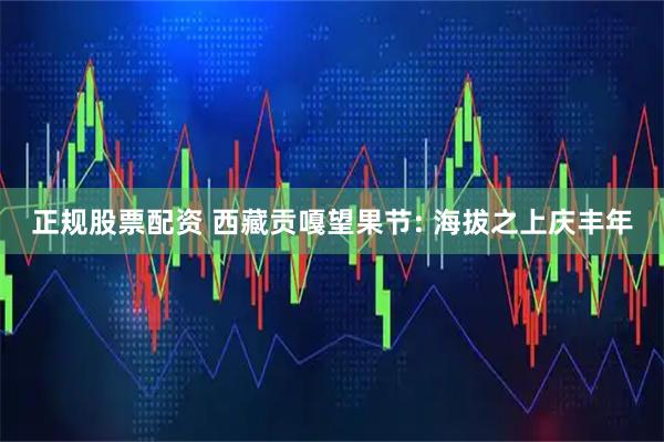 正规股票配资 西藏贡嘎望果节: 海拔之上庆丰年