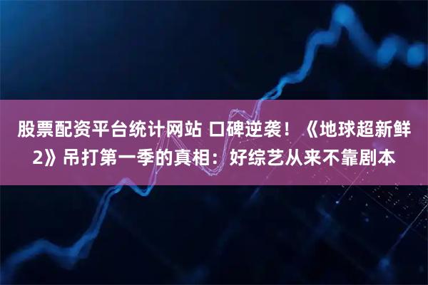 股票配资平台统计网站 口碑逆袭！《地球超新鲜2》吊打第一季的真相：好综艺从来不靠剧本